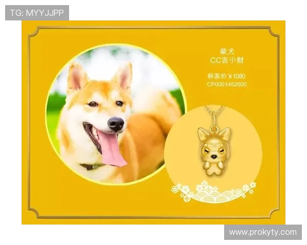 开运在线登录操作流程详解，助你轻松实现每日好运的顺利开启